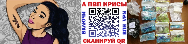 дарнет шоп  Пугачёв  МЕГА зеркало  Alpha-PVP Crystall 