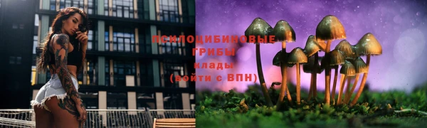 СК Нефтегорск