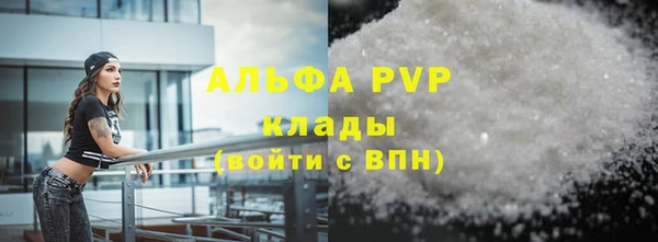 прущие грибы Нефтекумск