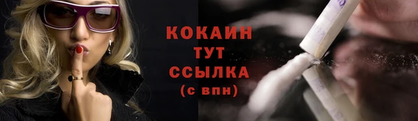 прущие грибы Нефтекумск