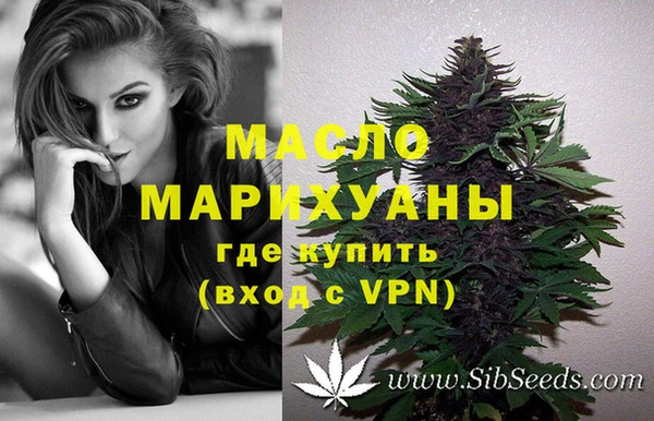 прущие грибы Нефтекумск
