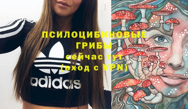 прущие грибы Нефтекумск