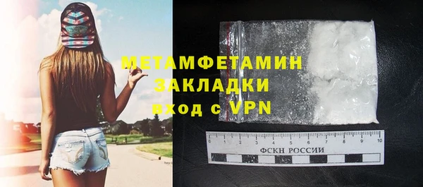 прущие грибы Нефтекумск
